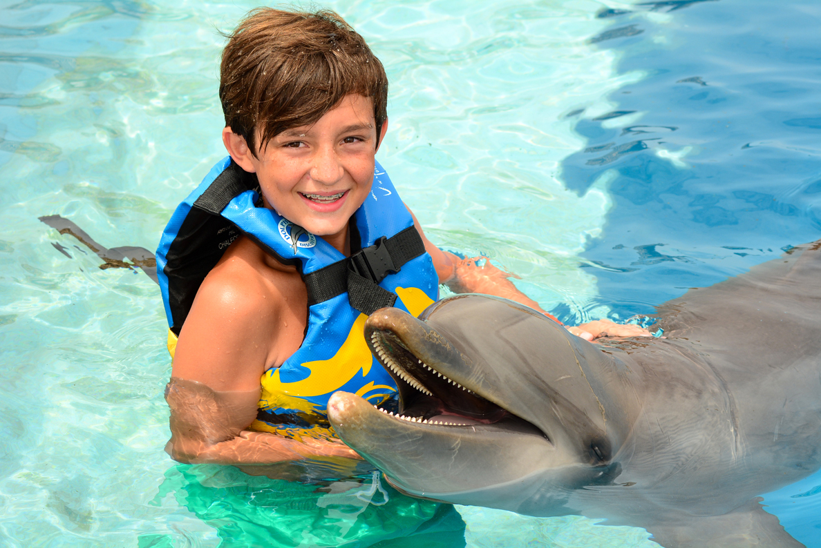 Andrew gets up close and personal with everyone's favorite marine mammal.