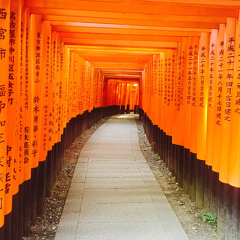 The Fushimi Inari torii gates in Kyoto