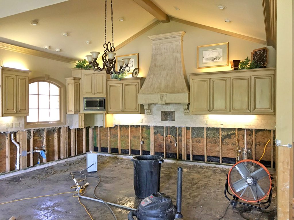 At the urging of a friend, Marianne took photos of interior rooms before the floodwaters hit her house so that she would have documentation for the insurance companies. “Before, the only photos I would have had of my interiors would have been from Thanksgiving or Christmas.”