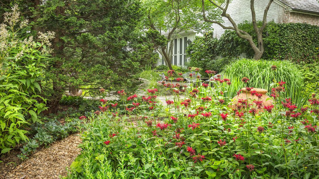 The Vollmer garden in Baltimore, Maryland, designed by Oehme, van Sweden and Associates. Photo courtesy The Cultural Landscape Foundation.