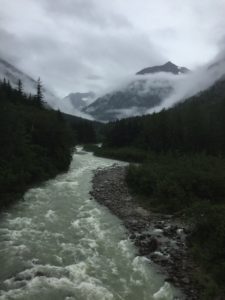 View from the Skagway train