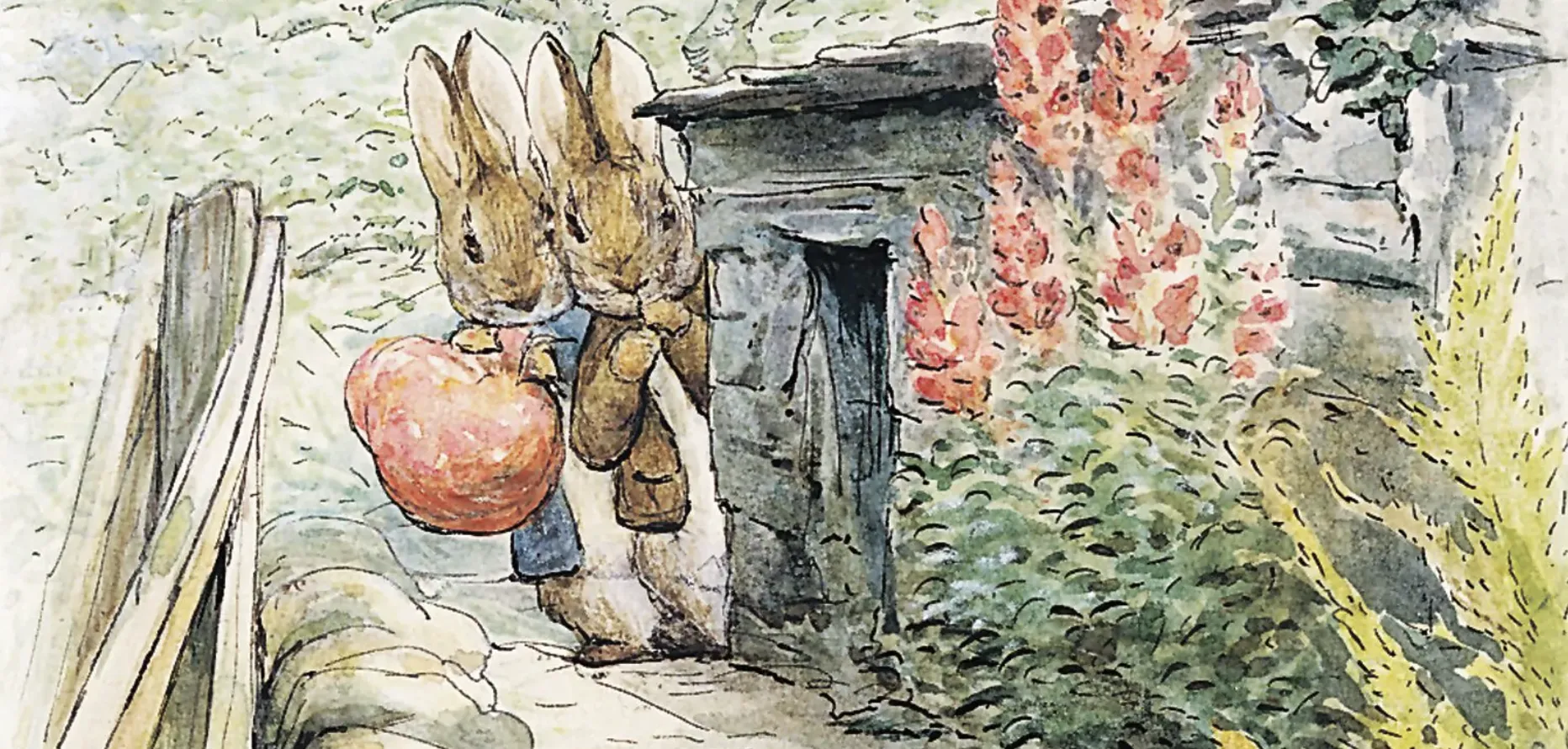 peter rabbit