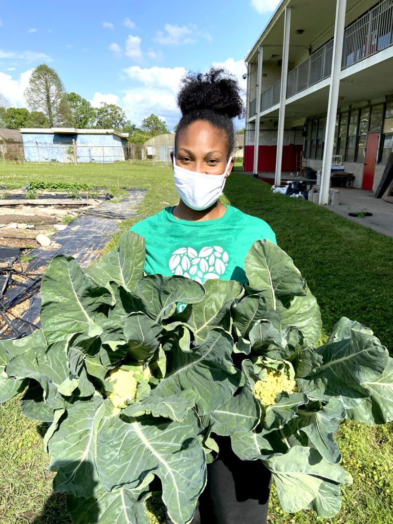 Baton Roots blossoms in its mission to cultivate fresh food options and ...
