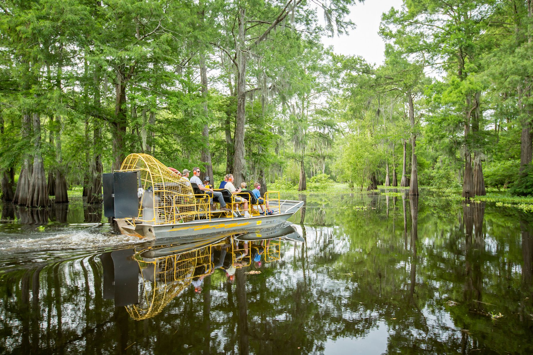 Secrets of the Swamp: An unforgettable journey is only a quick jaunt ...