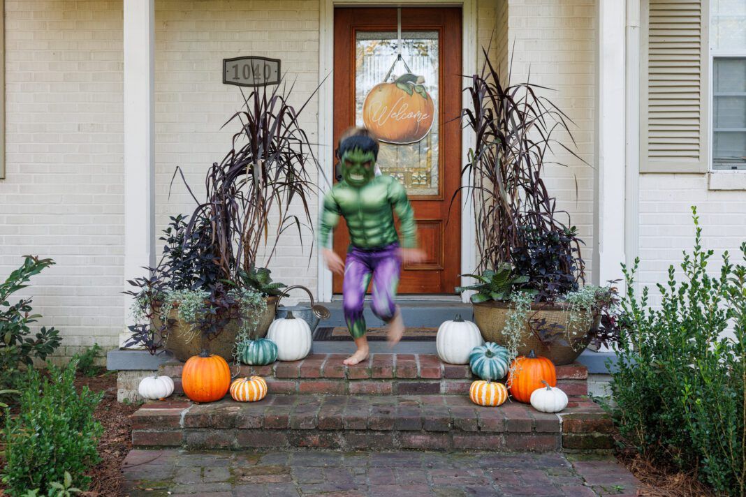 Lee Rouse - Halloween Planters