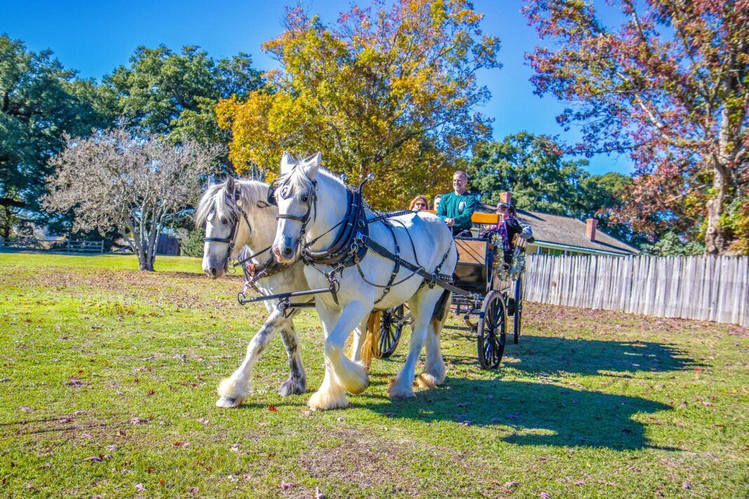 486480773_1082011030635942_4553553329443791857_n