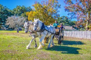 What to do this weekend: Magnolia Mound Creole Christmas & Holiday Fair