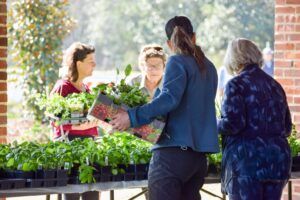 Sip herbal tea, browse a makers fair and shop thousands of plants at Herb Day this Saturday