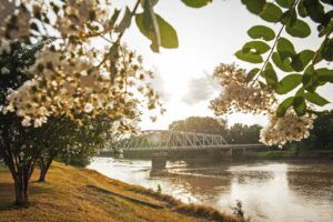 Find your beat in Greenwood, Mississippi