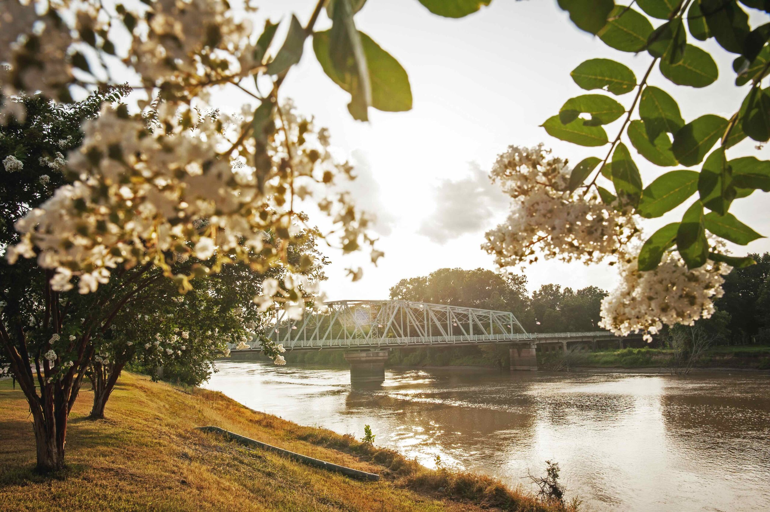 Find Your Beat in Greenwood, Mississippi