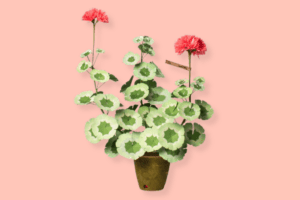 Local shops introduce artful collections to enhance your home