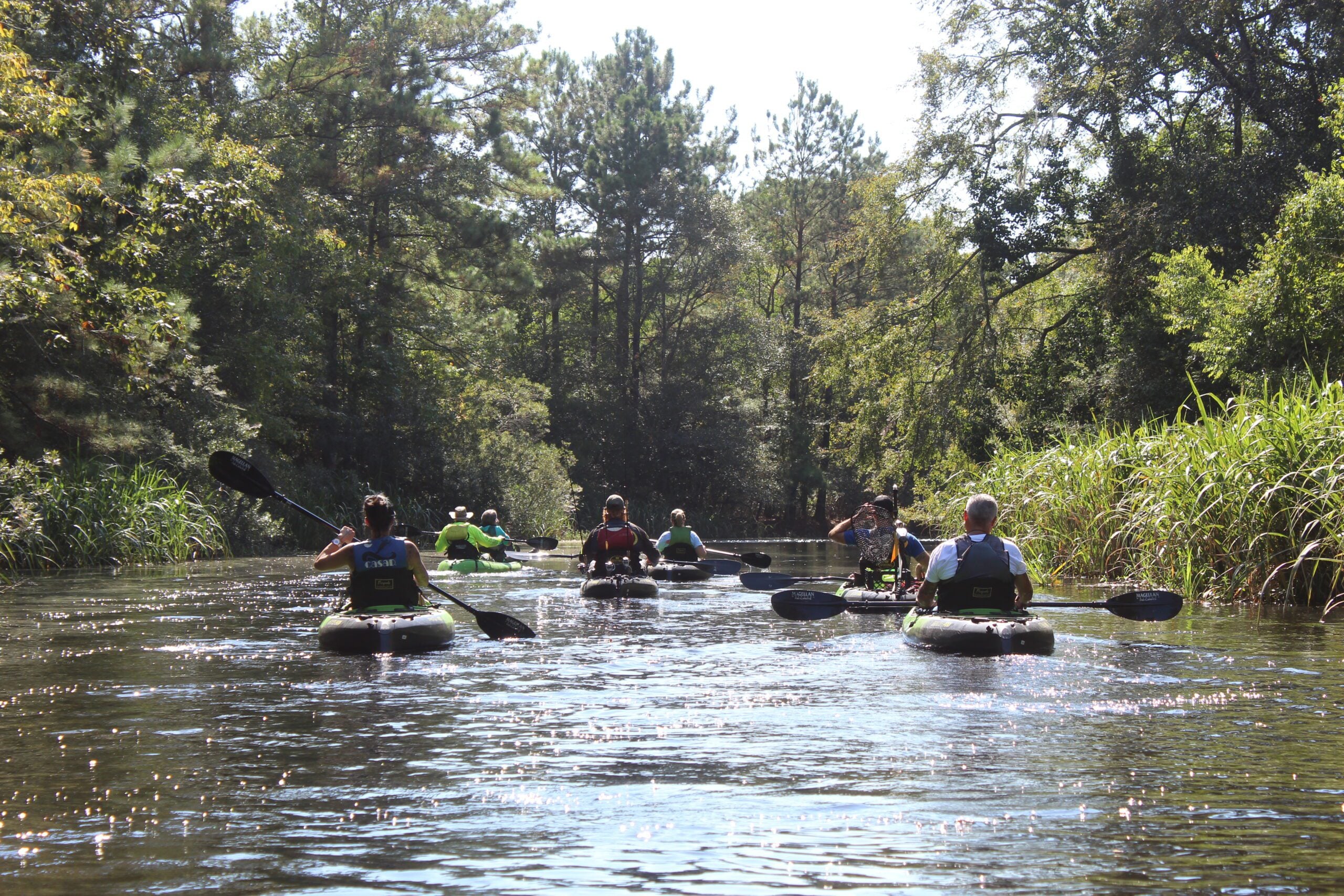 Summer of 26: A guide to Louisiana’s most unique outdoor destinations