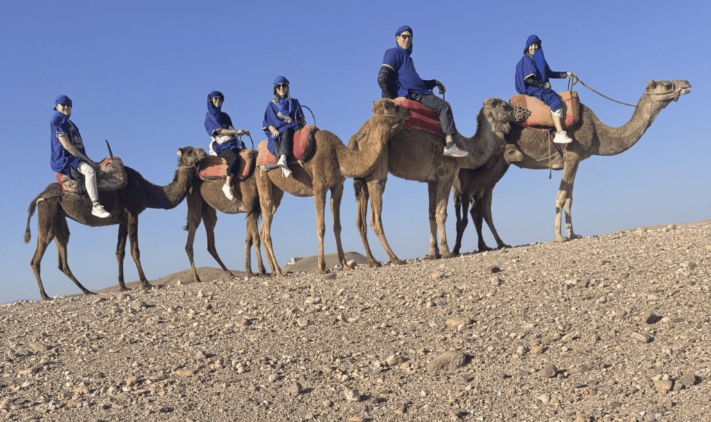 Our five most-clicked Travel Journals