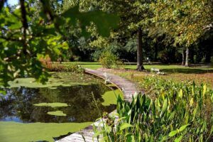 What to do this weekend: Author Corinne Martin delves into medicinal plants at LSU Hilltop Arboretum