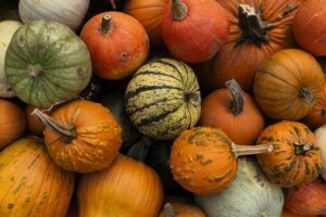 Planting the Seed: Pumpkin patch picks for this fall