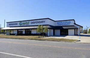 Fast, free and simple access to medical cannabis